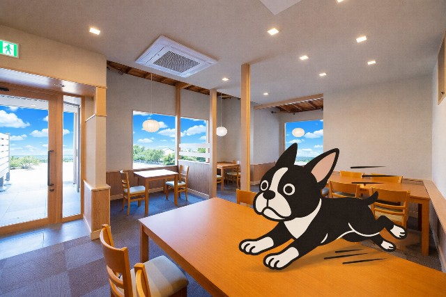 テーブルの上を走らないように（笑）